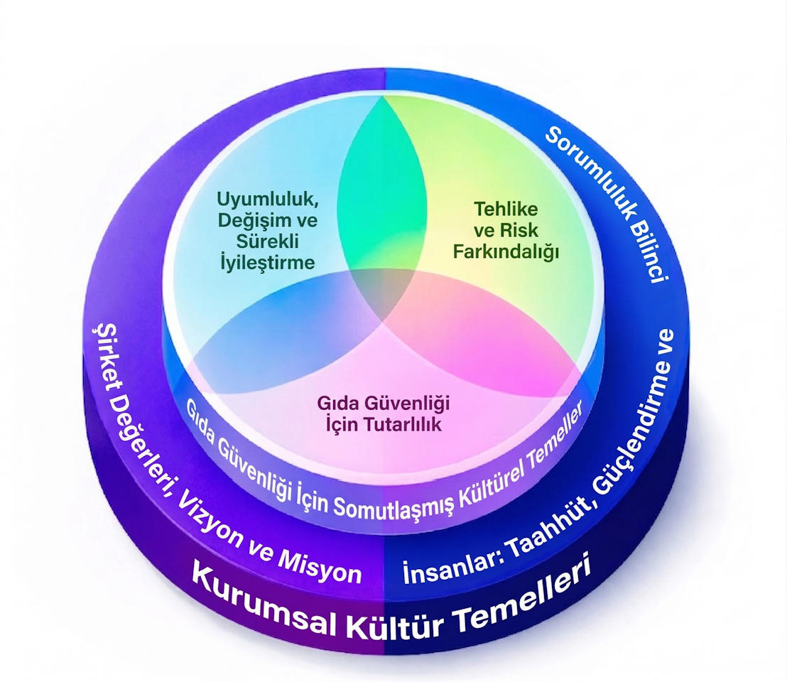 GFSI Gıda Güvenliği Kültürünün Boyutları Turkce